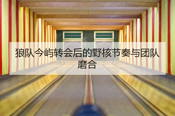 lang-dui-jin-yu-zhuan-hui-hou-de-ye-he-jie-zou-yu-tuan-dui-mo-he-2-899.jpg
